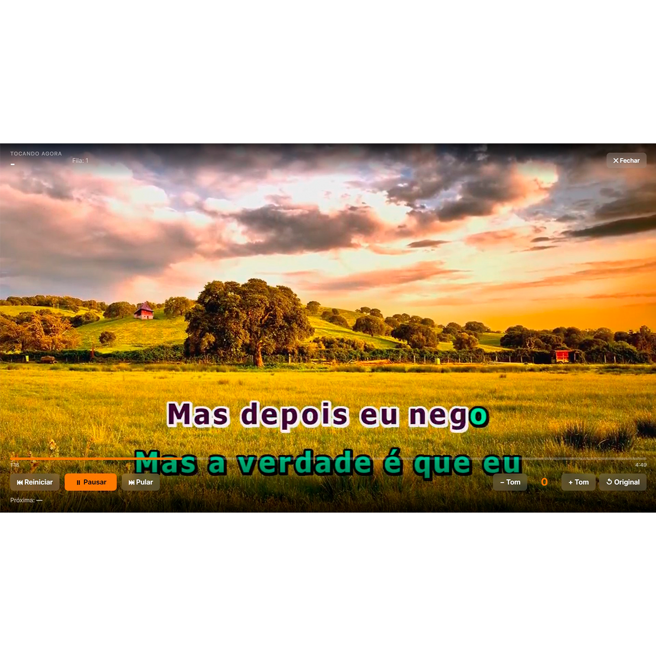 Programa Karaokê 5.0 - Pacote Ouro - Imagem 4